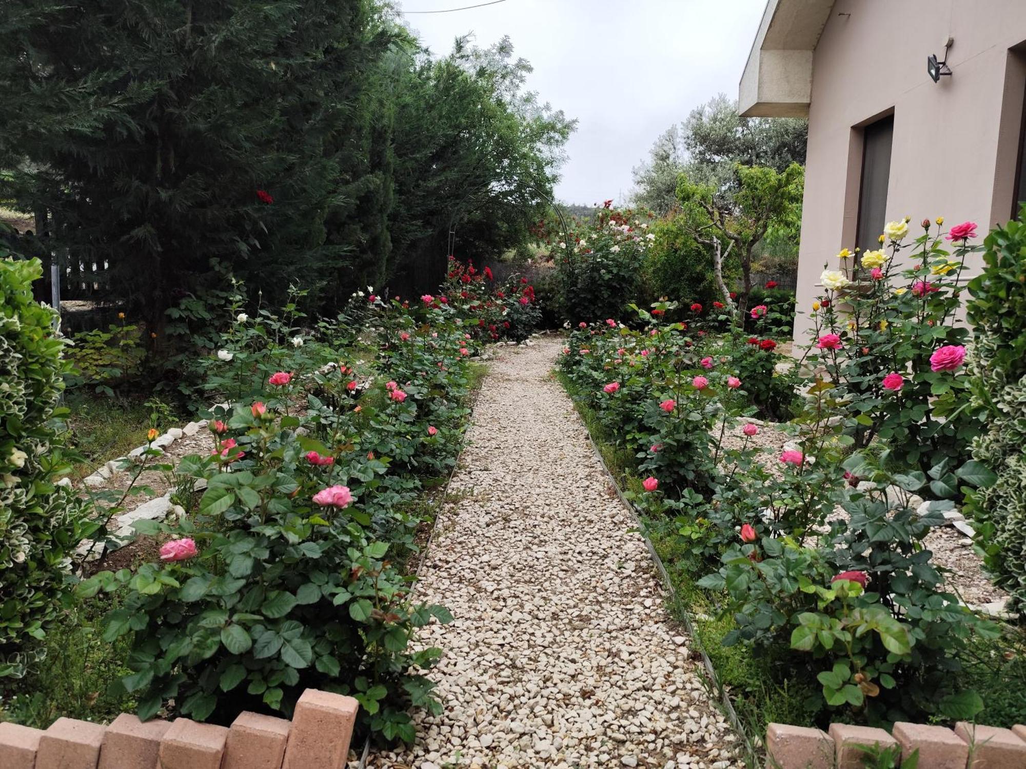 Roses Villa Trimiklini Exterior foto